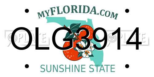 OLG3914 Florida License Plate