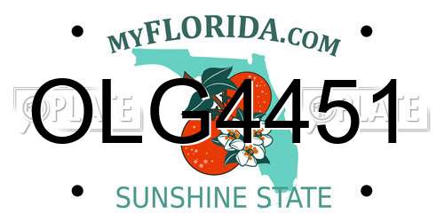 OLG4451 Florida License Plate