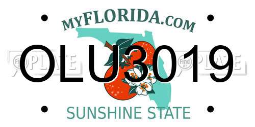 OLU3019 Florida License Plate
