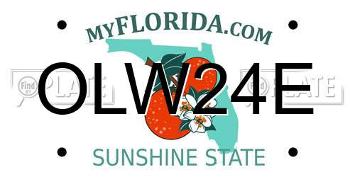 OLW24E Florida License Plate