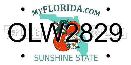 OLW2829 Florida License Plate