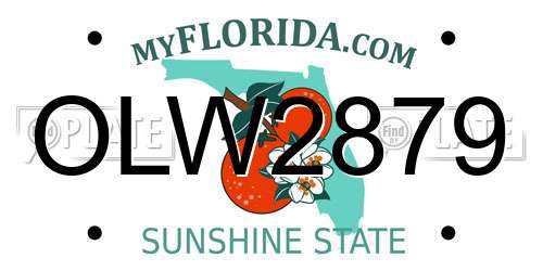OLW2879 Florida License Plate