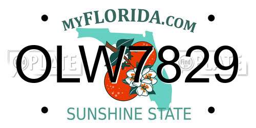 OLW7829 Florida License Plate