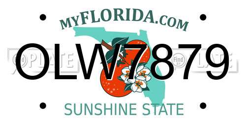 OLW7879 Florida License Plate