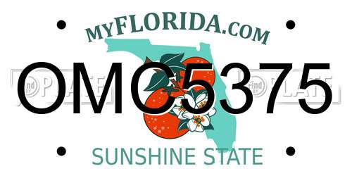OMC5375 Florida License Plate