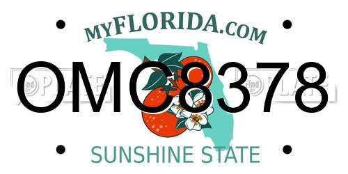 OMC8378 Florida License Plate