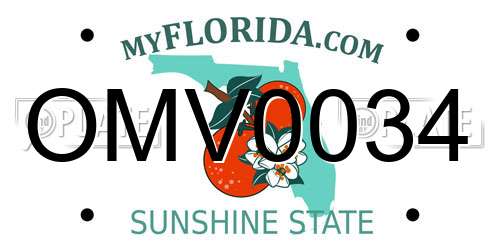 OMV0034 Florida License Plate