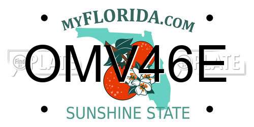 OMV46E Florida License Plate