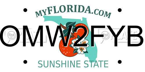 OMW2FYB license plate in FL state