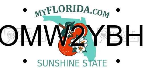 OMW2YBH Florida License Plate