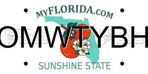 OMWTYBH Florida License Plate