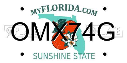 OMX74G Florida License Plate