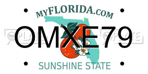 OMXE79 Florida License Plate
