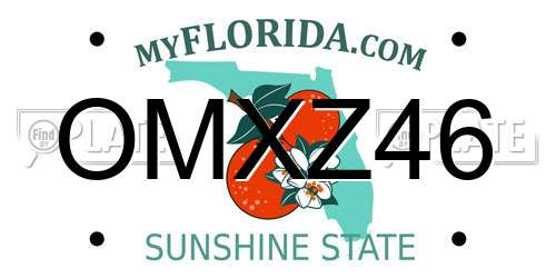 OMXZ46 Florida License Plate