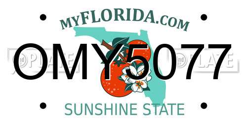 OMY5077 Florida License Plate