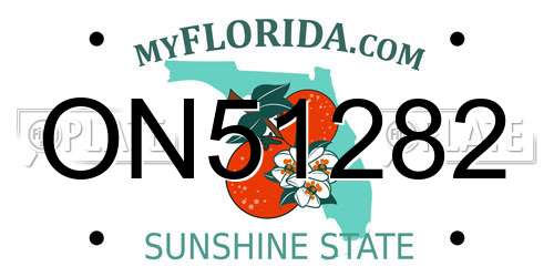 ON51282 Florida License Plate