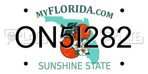 ON5I282 Florida License Plate