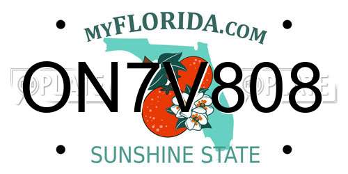 ON7V808 Florida License Plate