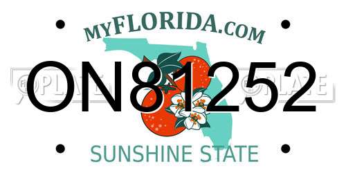 ON81252 Florida License Plate