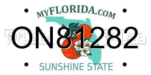 ON81282 Florida License Plate