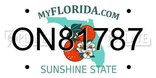 ON81787 Florida License Plate