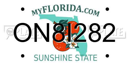 ON8I282 Florida License Plate