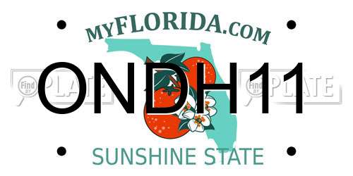 ONDH11 Florida License Plate