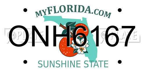 ONH6167 Florida License Plate