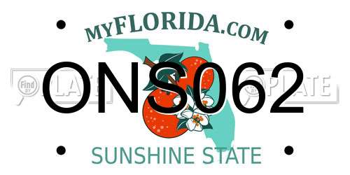 ONS062 Florida License Plate