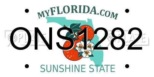 ONS1282 Florida License Plate