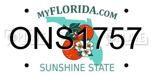 ONS1757 Florida License Plate