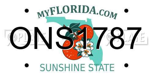 ONS1787 Florida License Plate