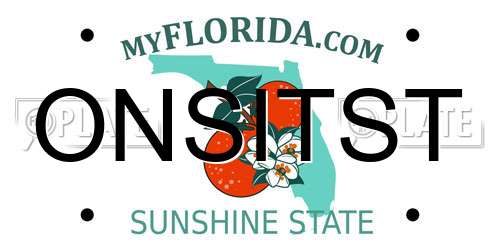 ONSITST Florida License Plate