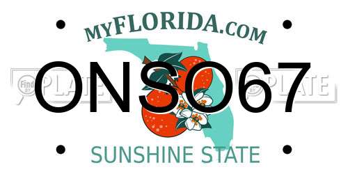 ONSO67 Florida License Plate