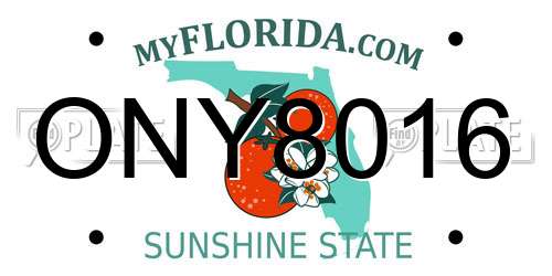 ONY8016 Florida License Plate