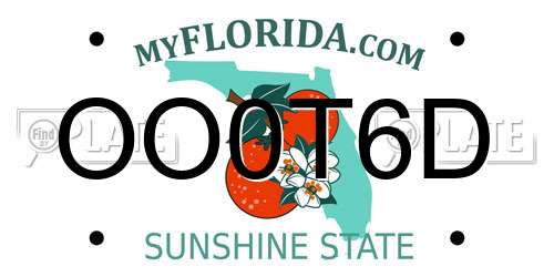 OO0T6D Florida License Plate