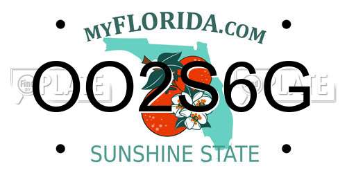 OO2S6G Florida License Plate