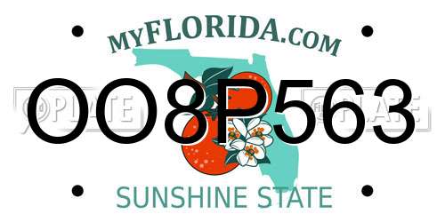OO8P563 Florida License Plate