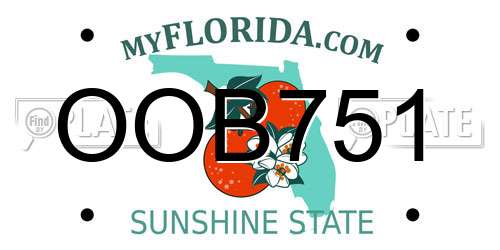 OOB751 Florida License Plate