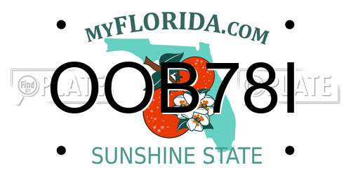 OOB78I Florida License Plate