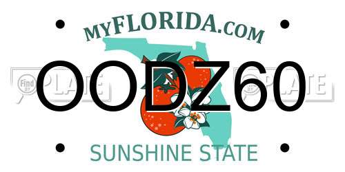 OODZ60 Florida License Plate