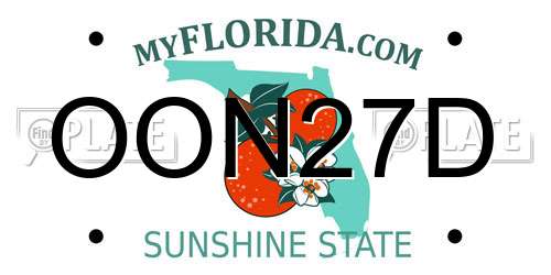 OON27D Florida License Plate