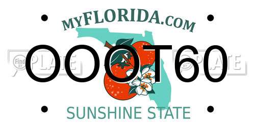 OOOT60 Florida License Plate