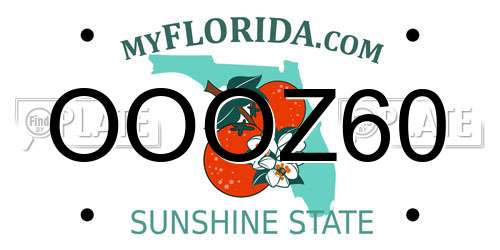 OOOZ60 Florida License Plate