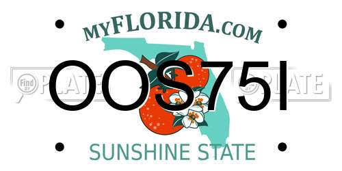 OOS75I Florida License Plate