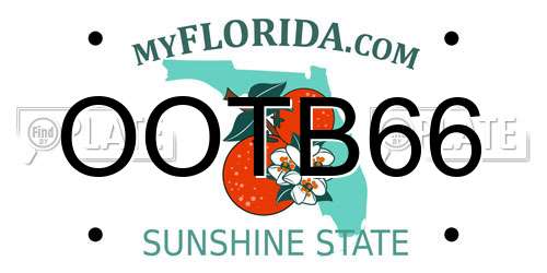 OOTB66 Florida License Plate
