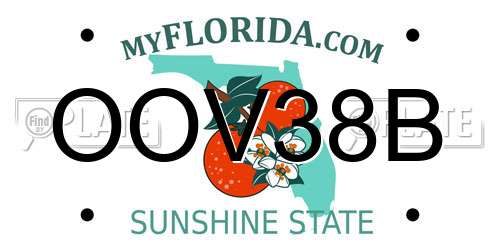 OOV38B Florida License Plate