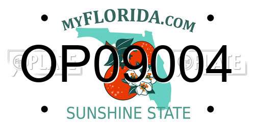 OP09004 Florida License Plate