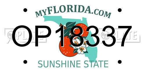 OP18337 Florida License Plate