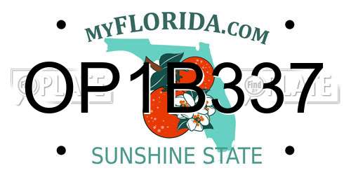 OP1B337 Florida License Plate
